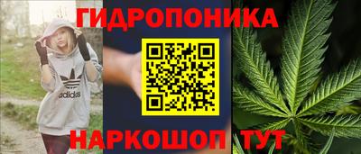 гидра Камышлов