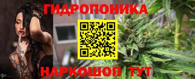СК Канаш