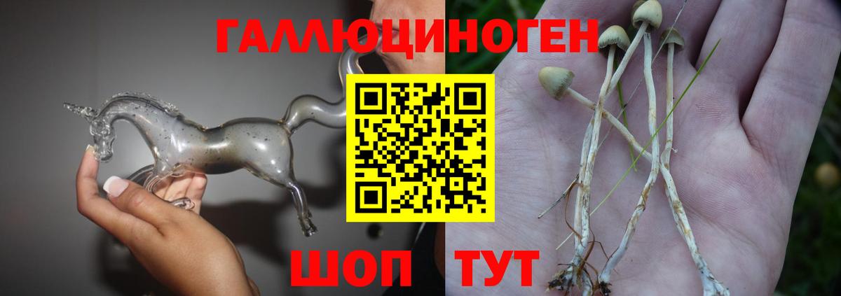 Псилоцибиновые грибы Magic Shrooms  Вход с VPN  Галлюциногенные грибы Cubensis  Щёкино 